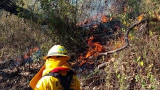 Incendio forestal afecta las faldas del volcán Santa María