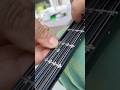 Introducing adjustable microtonal bouzouki