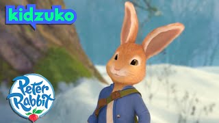 @OfficialPeterRabbit - The Star of the Show! | Cartoons for Kids | @Kidzuko