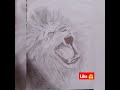 தமிழ்நாட்டு சிங்கம் மடா shorts pencil drawings youtubeshorts