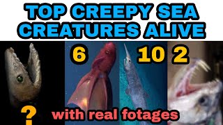 TOP SCARY AND CREEPY SEA CREATURES ALIVE TODAY. || FACTS COUNTDOWN