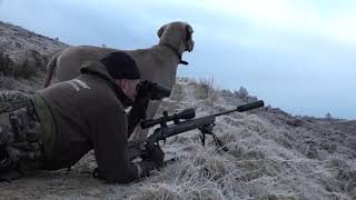 The Shooting Show - scenic hind stalking in Scotland