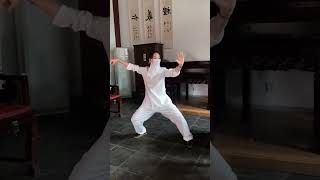 Tai Chi|太极拳，那是一种刚柔并济的艺术，一种身心合一的修行#taichi #kungfu #taichiquan #功夫 #太极 #martialarts #wushu #taiji #太极拳