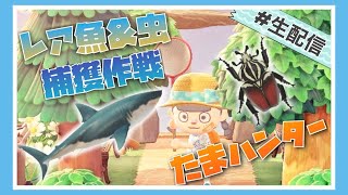 【概要欄チェック必須】夏の虫と魚を捕まえちゃうゾ！【生配信】【あつまれどうぶつの森】【Animal Crossing】【女性ゲーム実況者】【ゲーム実況】【TAMAchan】