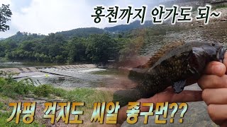 서울 근교 가평 숨은 꺽지 포인트 2곳 탐사!! Korean aucha perch fishing 🎣