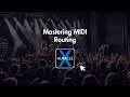 Mastering MIDI Routing: Pro Tips for Using Auracle X