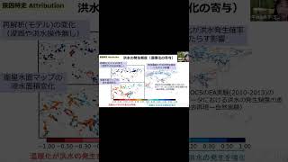 水文水資源学会：地球温暖化による河川洪水の変化　平林由紀子（芝浦工業大学） #Short