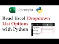 OpenPyXL Tutorial: Extract All Validation Options Fast