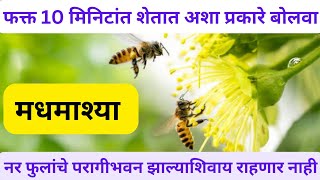 फक्त 10 मिनिटात शेतात अशा प्रकारे बोलवा मधमाश्या|नर फुलांचे परागीभवन झाल्याशिवाय राहणार नाही|