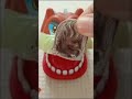 ASMR DOG DENTIST EATING GODIVA CHOCOLATE #asmr #youtubeshorts #viral #shorts #video #satisfying