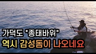 가덕도 새바지 유명포인트 종태바위 감성돔낚시를 다녀왔습니다