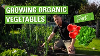 Growing Organic Vegetables Part 1