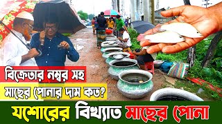 যশোরের বিখ্যাত মাছের পোনার দাম ও কোথায় পাবে। বিক্রেতার নম্বর সহ। maser pona price। fish seed market