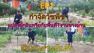 ทำแปลงผักอินทรีย์กับพื้นที่1งานข้างบ้าน EP1กำจัดวัชพืช (บ้านสวนปันฝัน)