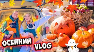 24 ЧАСА на ВСЕ! Фотосессия как в Pinterest💔 ВЫРЕЗАЕМ ТЫКВЫ НА ХЭЛЛОУИН🎃 ОСЕННИЙ ВЛОГ