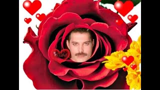 FREDDIE MERCURY My Tribute . Today , 24 November 2024 For you, Love of my life..