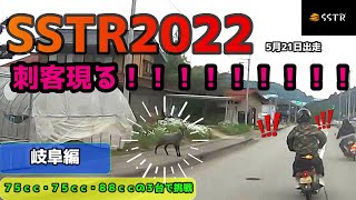 【あわや正面衝突ｗ】スーパーカブで行く！SSTR2022【鹿怖すぎ】