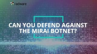 Can You Defend Against The Mirai Botnet?