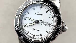 Sinn 104 St Sa I W Pilot 104.012 Sinn Watch Review