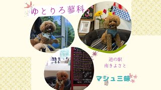 【マシュ三昧】ゆとりろ蓼科withDOGs