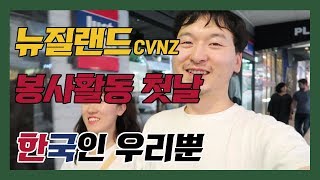 뉴질랜드 이색 봉사활동 CVNZ [ep.1] :: 한국인은 정말 우리뿐이구나! 영어 천국