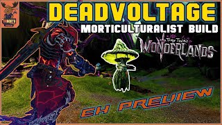 ☠️DEADVOLTAGE ⚡Graveborn Build preview Tiny Tina's Wonderlands