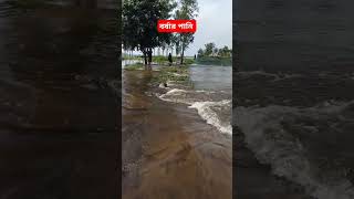 #বর্ষারপানি #পানি #বর্ষা #গ্রামবাংলা #বান #viralvideo #shortvideos #পানি #স্রোত #বাংলাদেশ #shortsvir