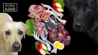 【ASMR  犬ごはん】鶏の足や豚の鼻など生肉にデザートはりんごを食べて満足なラブラドールレトリバー/咀嚼音/生骨/raw feeding dogs asmr