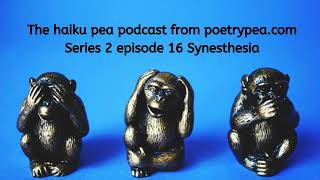 The haiku pea podcast Series 2 Episode 16 Synesthesia