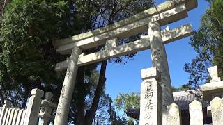 30秒の心象風景15032・大正15年の鳥居～繁陽町八幡神社～