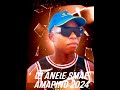 DJ ANELE SAME EXAMPLE AMAPINO 2024 👑