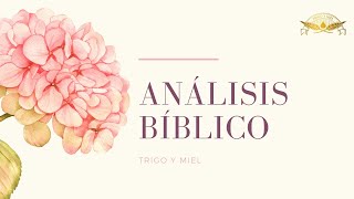 Análisis Bíblico (19-may-2021)