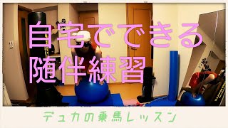 【乗馬】バランスボールで自宅練習しよう♪【馬ブログ】