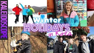 KOREA'S BEST WINTER HOTSPOTS 💙 (As Seen On TvN) Everland, Herb Island \u0026 more 경기도 겨울 여행지 추천 meejmuse