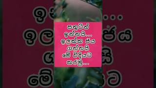 අනිවාර්යයෙන් ඔයාගෙ ජීවිතේ මේ video එකෙන් පස්සෙ වෙනස් වෙනවමයි.😊🌺 #trending #viral #quotes #lifestyle