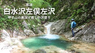 青白い水が印象的な甲子山の美渓：阿武隈川白水沢左俣左沢【沢登り】