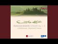 Concerto for Strings No. 1 in F Minor: I. Poco andante - Allegro