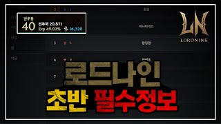 [로드나인] 30만원쓰고 랭커 찍을수 있었던 꿀팁들 알려드립니다 시작하실때 참고하세요 / MP회복 챙기기,게임설정법 등등