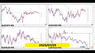 【RCCで振り返る】2025年01月29日対オージーの4通貨ペア