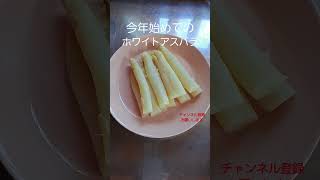 ホワイトアスパラを食べる#甘い#そのまま#マヨネーズ#味噌プルーン#柔らか#美味しい