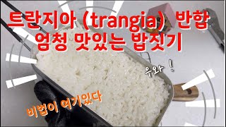 트란지아(trangia)반합 맛있는 밥짓기