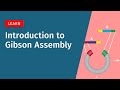 Introduction to Gibson Assembly