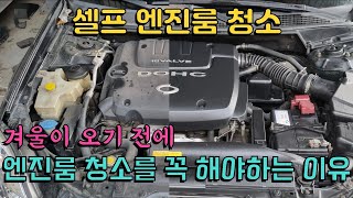 겨울이 오기전에 엔진룸 청소를 꼭 해야하는 이유 | 엔진룸 셀프 청소 #션킴모터스 #으르렁터보 #션킴자동차연구소