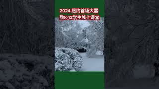 美国纽约首场大雪导致K-12年级学生转至线上课堂 #2024 #news #美国#纽约大雪#网课#shorts