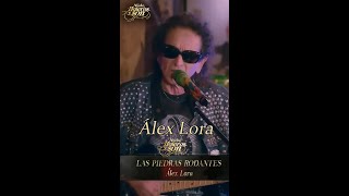 Las Piedras Rodantes - Álex Lora - Noche, Boleros y Son #shorts