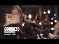 The Firefall Project - Goodness (feat. Noah Rubin)