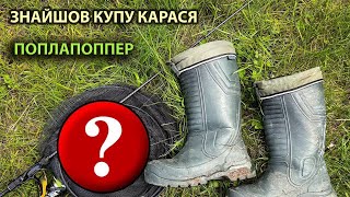 ЗНАЙШОВ КУПУ КАРАСЯ. ПРОГУЛКА З ПОПЛАПОППЕРОМ. ЗАЛІТАЮ НА ЮТУБ. #карась #поплапоппер #рыбалкавкиеве