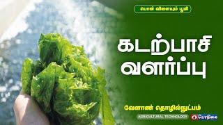 கடற்பாசி வளர்ப்பு | Agricultural Technology