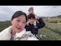 육아vlog 7개월아기랑 제주도 다녀오기 feat.떡뻥