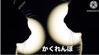 かくれんぼ🐈【歌動画】